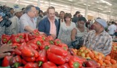 Ministerio de Agricultura realizará tercer operativo Merca Santo Domingo