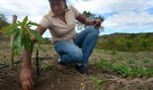 FAO: Pobreza femenina en América Latina ha aumentado en las últimas décadas