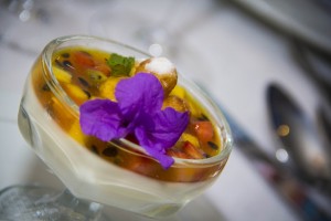 Pannacotta de jengibre